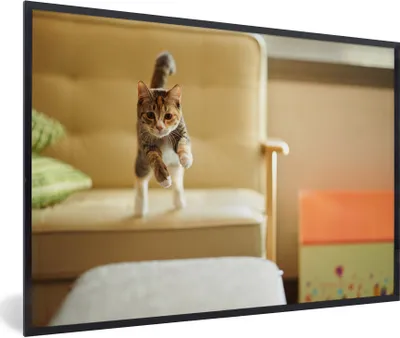 Produktbild von MuchoWow® MuchoWow® Gerahmtes Poster Katze - Frühling - Stuhl 30x20 cm - Poster mit zchwarzem Bilderrahmen - Kunstdruck - Bild-Poster