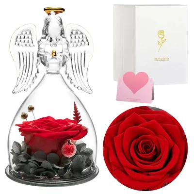 Ewige Rose im Engelglas, echte Rose, Geschenk, rot