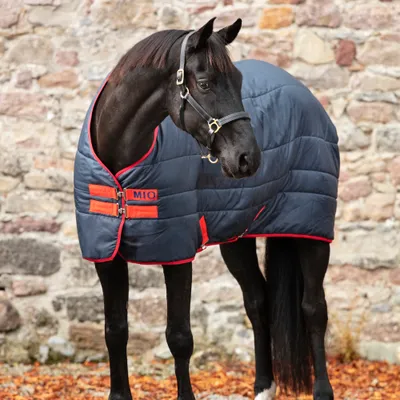 Immagine prodotto di Horseware Mio Insulator Medium 150g - Navy/Rosso