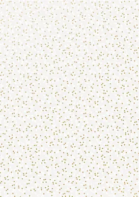 Image de 15X Heyda 204878964 Papier transparent A4 gui blanc