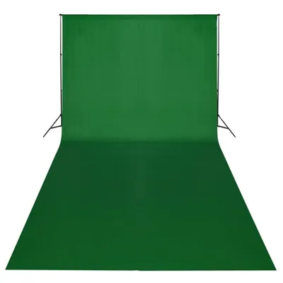Image de vidaXL Kit studio photo avec fond vert 600×300 & lampes