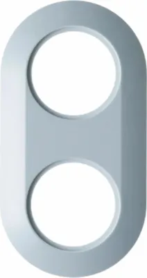 Produktbild von Berker Kombiplatte 2f.pws 138129