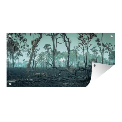 Obrázek produktu pro MuchoWow® Zahradní plakáty - Vypálený amazonský deštný prales - 80x160 cm - Zahradní dekorace