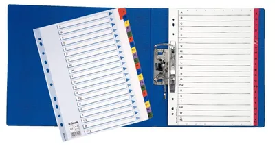 Produktbild von Esselte Carton Index, A4, 225 mm, 4 mm, 297 mm, 225 g, 1 Stück(e)