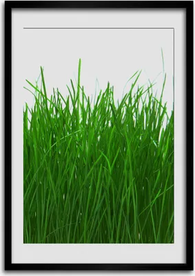 Produktbild von Bild - Bilderrahmen - Foto - 70 cm x 100 cm - MDF - Rahmen - Wandkunst - Gras