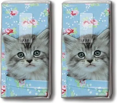 Produktbild von RP DP 10 Taschentücher Romeo & Julia - Niedliche Katzen