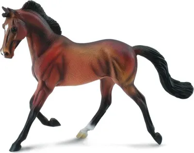 Immagine prodotto di COLLECTA Cavalla purosangue marrone