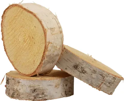 Produktbild von Baumscheiben Birkenholz Deko für Basteln und kreative Tischgestaltung, 18 Stück