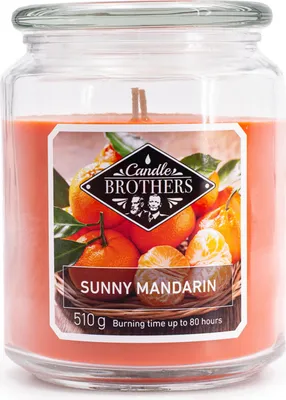 Produktbild von Balthasar 810032.004, Zylinder, Orange, Mandarine, 100 h, 1 Stück(e)