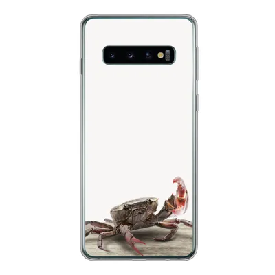 Produktbild von MuchoWow® Handyhülle Schutzhülle Hülle für Samsung Galaxy S10 Kinder - Krabbe - Meerestiere - Jungen - Mädchen - Kinder Silikon Softcase Handy Hülle - Handytasche