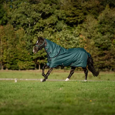 Produktbild von Horseware Amigo Ripstop 900D Plus 0g