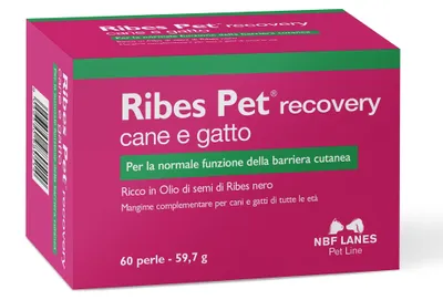 Imagen del producto de Solidchoice: Suplemento nutricional para la salud de la piel de los animales