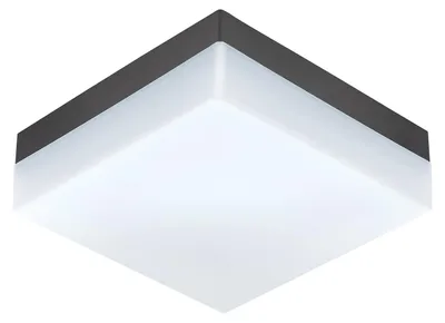 Obrázek produktu pro EGLO SONELLA, Venkovní světlo na zeď/strop, Antracit, Plast, IP44, I, Bílá