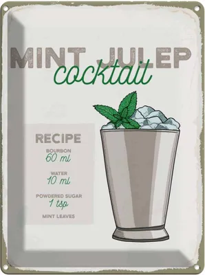 Produktbild von vianmo Blechschild 40x30 cm Mint Julep Cocktail Recipe Essen Trinken