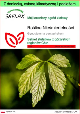 Zdjęcie produktu dla SAFLAX - Garden to go - Roślina Nieśmiertelności - 30 Nasiona - Z doniczką, pokrywą klimatyczną i podłożem do uprawy - Gynostemma pentaphyllum