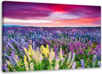 Produktbild von Leinwandbild wiese mit blumen 120x80 cm Feeby lila wandbild bereit zum aufhängen