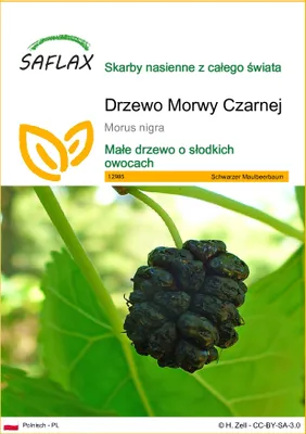 Zdjęcie produktu dla SAFLAX - Drzewo Morwy Czarnej - 200 Nasiona - Morus nigra
