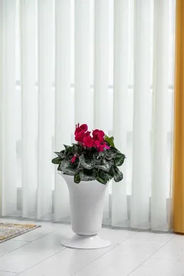 Immagine prodotto di 2 vasi in plastica bianca da 27x32 cm, vasi da fiori infrangibili, vasi da fiori, decorazione