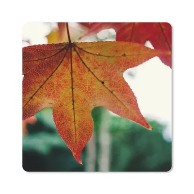 Produktbild von MuchoWow® Mauspad Mousepad Herbst - Landleben - Blätter - Jahreszeiten - Landleben 20x20 cm - Mousepads - Maus Mat - Pad - Mausunterlage - Desk Mat - Bureauartikeln