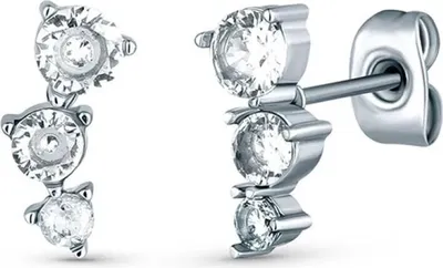 Immagine prodotto di Orecchini longitudinali in acciaio Blythe Patis Silver