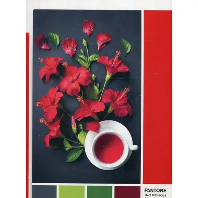 Immagine prodotto di Clementoni 1000Pcs Puzzle Pantone Goji Berry 39494