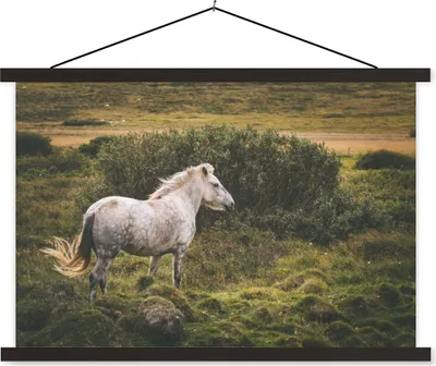 Produktbild von MuchoWow® Textilposter Pferd - Weiß - Island 120x80 cm mit schwarzem Rahmen - Wanddeko