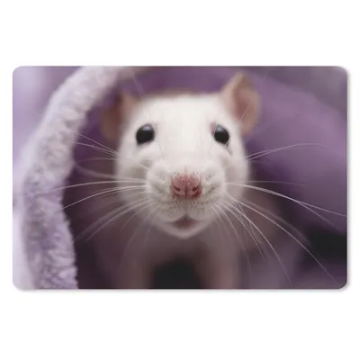 Produktbild von MuchoWow® Mauspad Mousepad Nahaufnahme einer weißen Maus 27x18 cm - Mousepads - Maus Mat - Pad - Mausunterlage - Büroartikel - Desk Matten