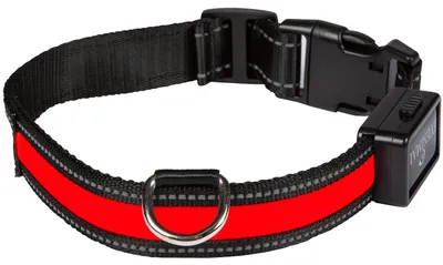 Obrázok produktu pre EYENIMAL NGCOLLUM016, LED obojok, USB, červený, veľkosť S, 66 g