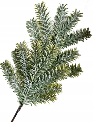 Produktbild von Vipolimex Künstlicher Tannenzweig beschneit grün 50 cm