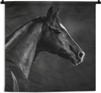 Produktbild von MuchoWow® Wandteppich Wandbehang Pferd - Tiere - Schwarz - Weiß - Porträt 90x90 cm Tapisserie Dekoration Wandtuch - Wandaufhänger