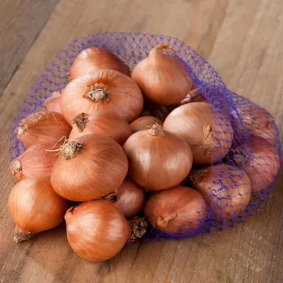Produktbild von Steckzwiebel Zwiebel Szalotka Red Sun gelb gesund lecker Größe 7-14 0,25 Kg