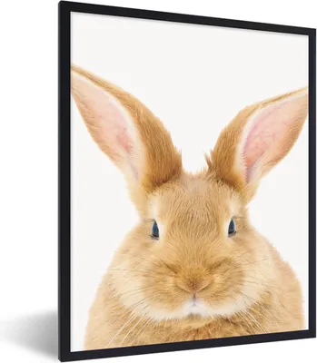 Produktbild von MuchoWow® Gerahmtes Poster Kinder - Kaninchen - Kind - Mädchen - Jungen 60x80 cm - Poster mit Schwarzem Bilderrahmen Wandposter Rahmen Foto Bilder - Premium - Wanddeko Wohnzimmer