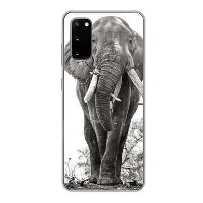 Produktbild von MuchoWow® Handyhülle Schutzhülle Hülle für Samsung Galaxy S20 Elefant - Porträt - Tiere - Schwarz und weiß Silikon Softcase Handy Hülle - Bild