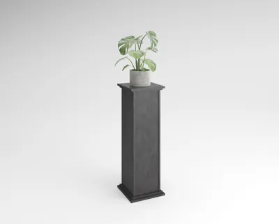 Produktbild von FMD furniture Dekosäule Blumensäule 30 x 30 x 89 cm in Matera, mit 2 höhenverstellbaren Ablagen und Tür, Pflanzsäule