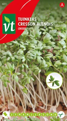 Image de Graines de cresson de jardin Cresso - Env. 15 gr | VT_631