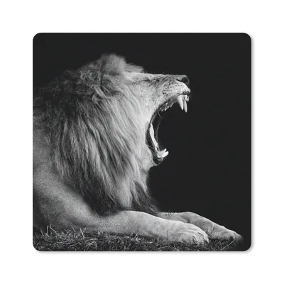 Produktbild von MuchoWow® Mauspad Mousepad Löwe - Wildtiere - Gras - Schwarz - Weiß 20x20 cm - Mousepads - Maus Mat - Pad - Mausunterlage - Desk Mat - Bureauartikeln