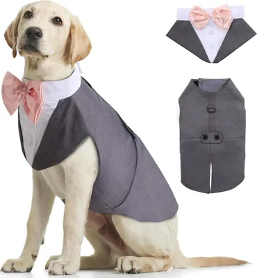 Obrázek produktu pro Kuoser Dog Tuxedo Suit & Bandana Set Pet Clothes Wedding Halloween Party S-XXL