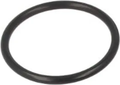 Produktbild von Grohe O-Ring 21 x 2 mm chrom - 0599900M