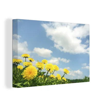Zdjęcie produktu dla OneMillionCanvasses® - Obrazy na płótnie - 150x100 cm, Chmury - Dmuchawiec - Wiosna, grafika ścienna, dekoracja ścienna
