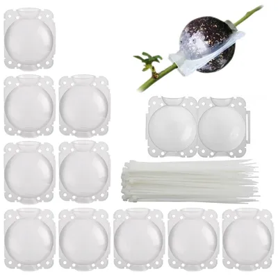 Produktbild von Wurzelzuchtbehälter Pflanzenwurzelbehälter Wurzelkapsel - 5 cm - Set mit 10 Stück - Wiederverwendbar - Für Stecklinge
