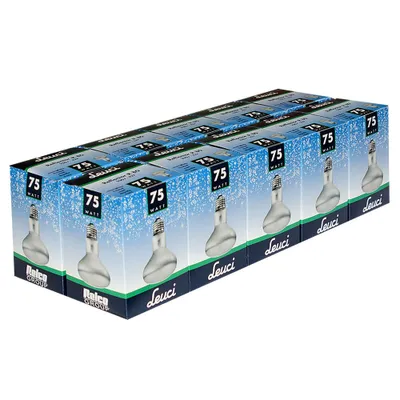 Produktbild von 10 x Leuci Glühbirne Reflektor R80 75W E27 matt Glühlampe 75 Watt Glühbirnen Glühlampen warmweiß dimmbar