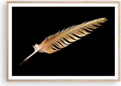 Produktbild von Gerahmtes Poster - Rahmen in heller Eiche - Golden Feder Schwarz - 100x70 cm - Wand Bild - Wanddeko - Wandbilder - Kunstposter - Wandposter - Bilderrahmen - Bilder - Kunstdruck - P2NAA100x70-4887