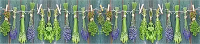 Produktbild von Küchenrückwand mySpotti Profix Kräuter der Provence 270 x 60 cm PX-27060-207-HB