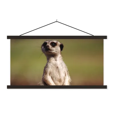 Produktbild von MuchoWow® Textilposter Erdmännchen - Tier - Spiel 60x30 cm mit schwarzem Rahmen - Textilien