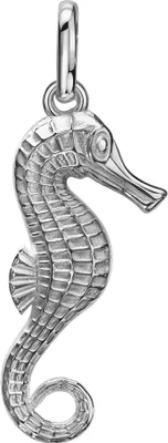 Produktbild von Silber Anhänger Seepferdchen Maritim 925 Sterling-Silber für Damen mit Halskette Länge wählbar.