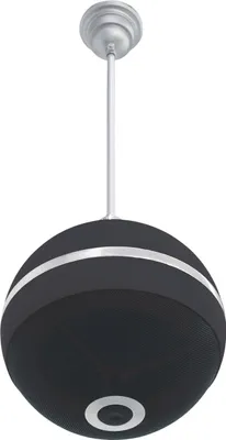 Zdjęcie produktu dla Omnitronic ELA-Deckenlautsprecher WPC-5S 20 W 100 V Schwarz 1 St. (80710420)