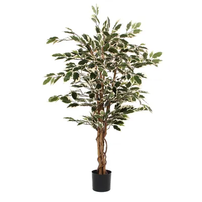 Produktbild von Mica Decorations Ficus Kunstpflanze - H110 x Ø70 cm - Grün bunt