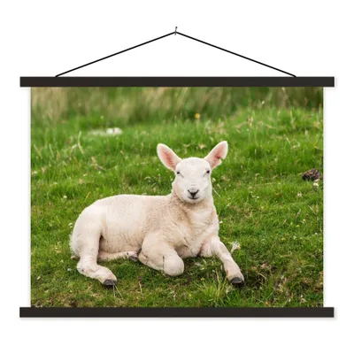 Produktbild von MuchoWow® Textilposter Schafe - Tiere - Lamm 120x90 cm mit schwarzem Rahmen - Aufhänger für Poster