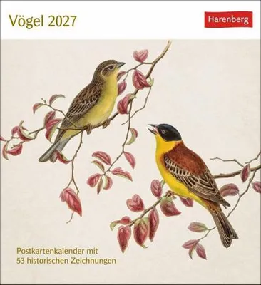 Obrázek produktu pro Vögel Postkartenkalender 2027 - Postkartenkalender mit 53 historischen Zeichnungen