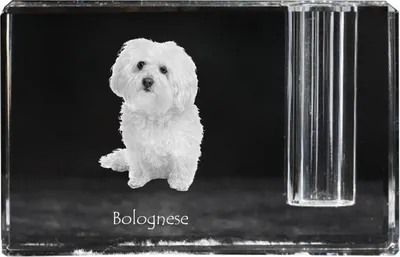 Zdjęcie produktu dla Art-Dog Stojak na długopis – Bolończyk